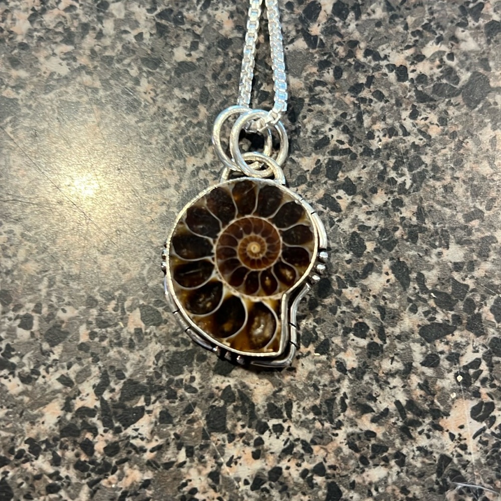 Shell necklace